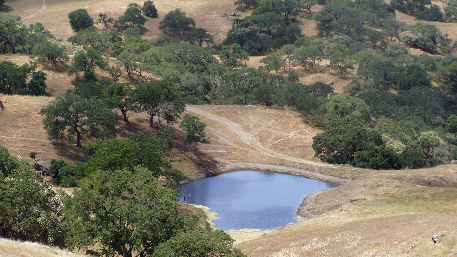 Clark Company Rancho El Toro